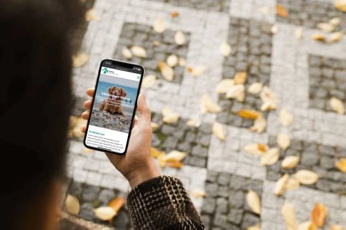 Bild på en mobil där man ser webbplatsen norradjurakuten.se